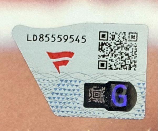 Roman Reigns Signed WWE Custom Framed Photo (Fanatics) at PristineAuction.com Roman Reigns Signed WWE Custom Framed Photo (Fanatics) at PristineAuction.com