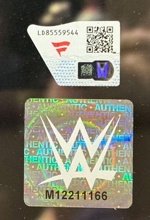 Roman Reigns Signed WWE Custom Framed Photo (Fanatics) at PristineAuction.com Roman Reigns Signed WWE Custom Framed Photo (Fanatics) at PristineAuction.com