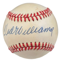 Ted Williams Signed OAL Baseball (PSA) at PristineAuction.com