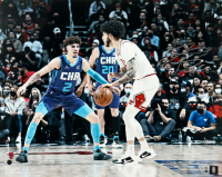 Lonzo Ball Signed Bulls 16x20 Photo (Fanatics) at PristineAuction.com