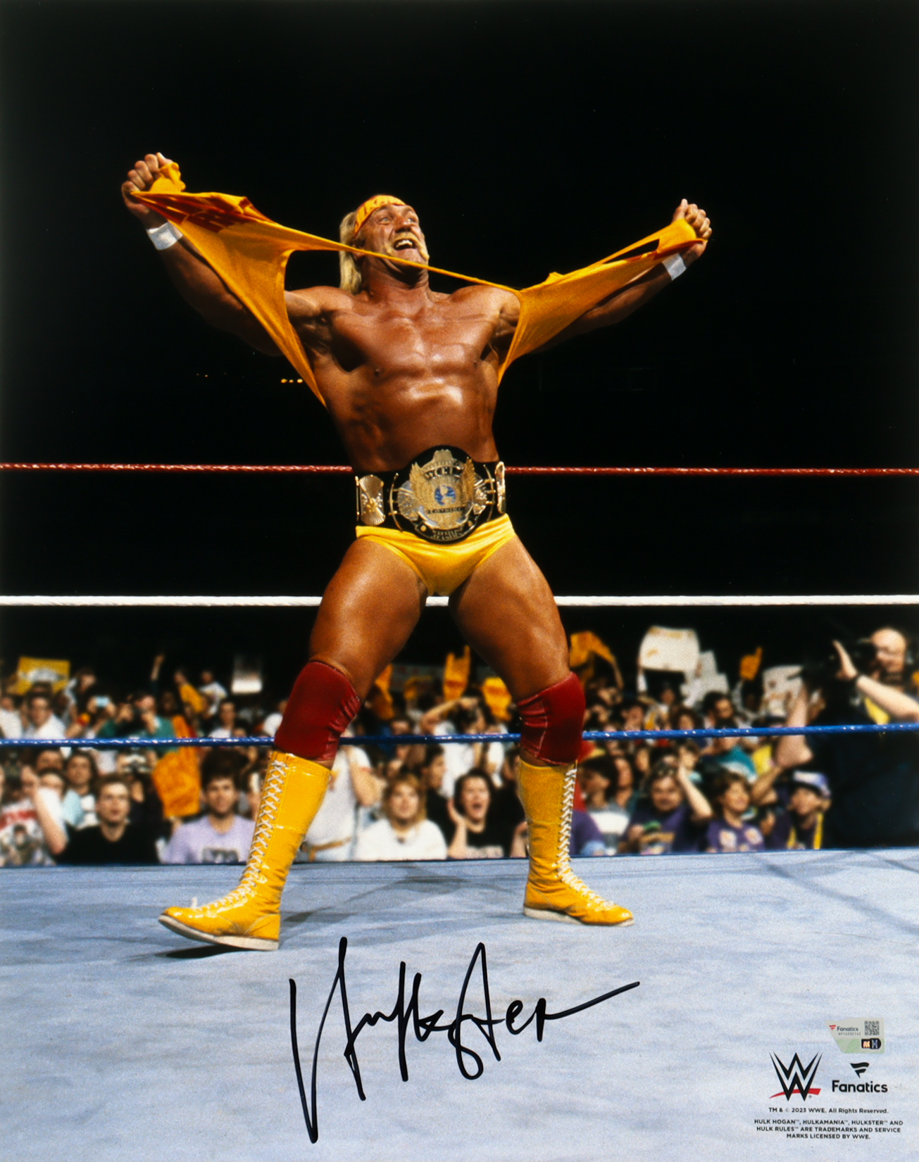 Hulk Hogan Signed WWE 16x20 Photo (Fanatics) at PristineAuction.com Hulk Hogan Signed WWE 16x20 Photo (Fanatics) at PristineAuction.com