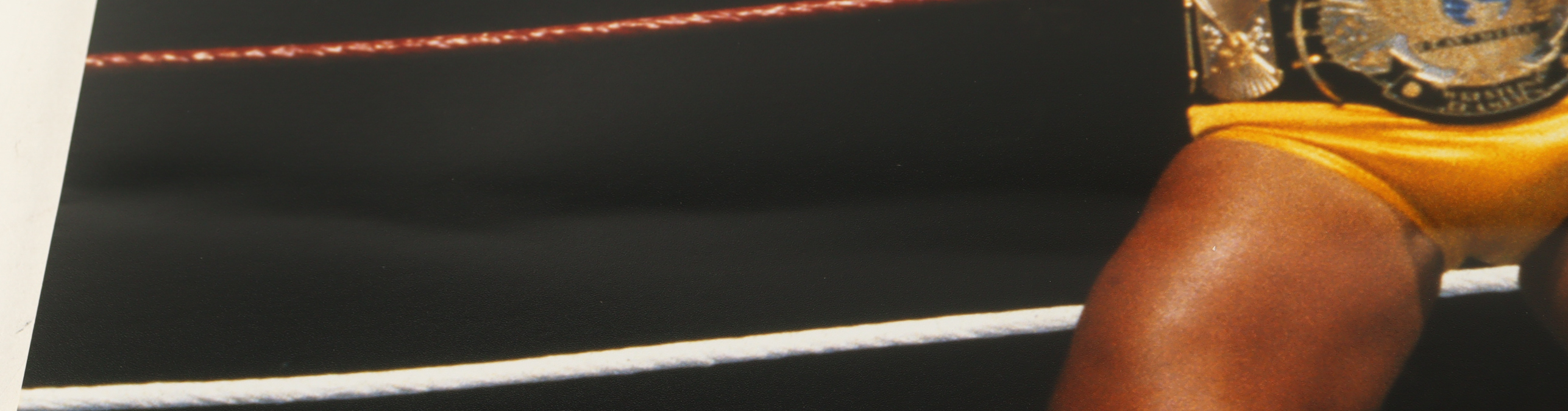 Hulk Hogan Signed WWE 16x20 Photo (Fanatics) at PristineAuction.com Hulk Hogan Signed WWE 16x20 Photo (Fanatics) at PristineAuction.com