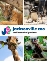 Wild Family Adventure Package at PristineAuction.com