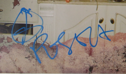 Pusha T Signed "Daytona" Vinyl Record Album (PSA) at PristineAuction.com Pusha T Signed "Daytona" Vinyl Record Album (PSA) at PristineAuction.com