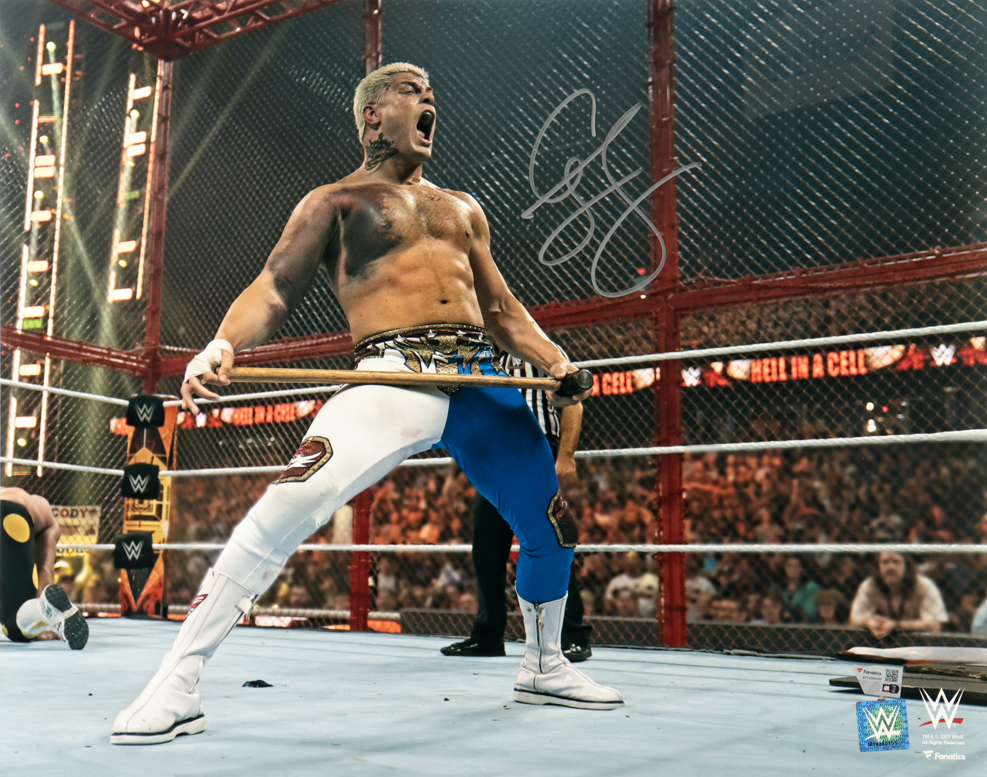 Cody Rhodes Signed WWE 16x20 Photo (Fanatics) at PristineAuction.com Cody Rhodes Signed WWE 16x20 Photo (Fanatics) at PristineAuction.com