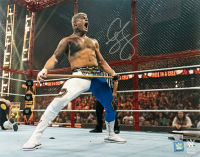 Cody Rhodes Signed WWE 16x20 Photo (Fanatics) at PristineAuction.com