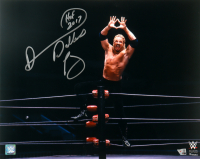 Diamond Dallas Page Signed WWE 16x20 Photo Inscribed "HOF 2017" (Fanatics) at PristineAuction.com