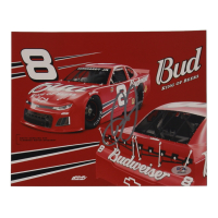 Dale Earnhardt Jr. Signed NASCAR 8x10 Photo (PSA) at PristineAuction.com