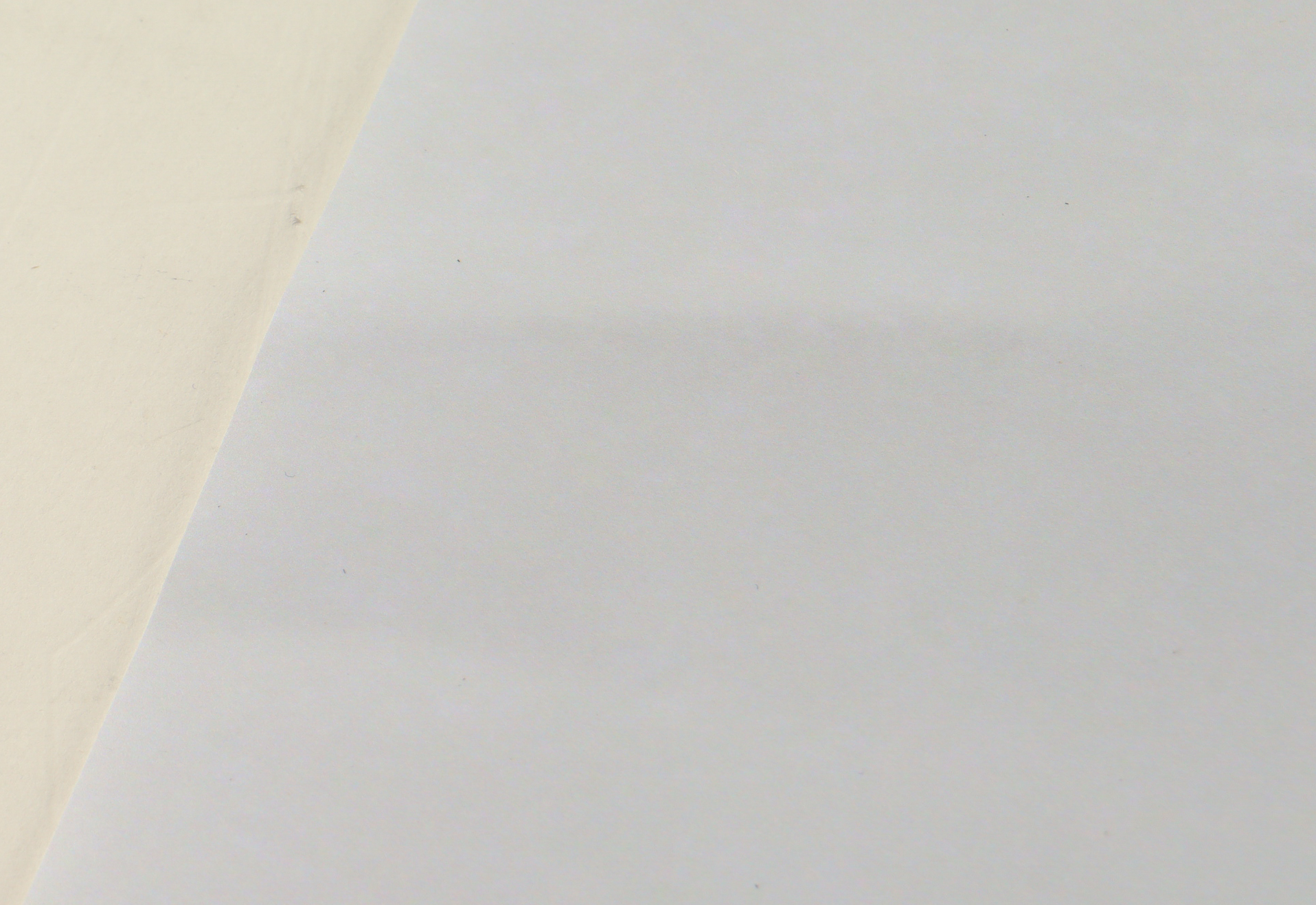 Igor Shesterkin Signed Rangers 16x20 Photo (Fanatics) at PristineAuction.com Igor Shesterkin Signed Rangers 16x20 Photo (Fanatics) at PristineAuction.com