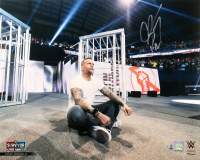 CM Punk Signed WWE 16x20 Photo (Fanatics) at PristineAuction.com