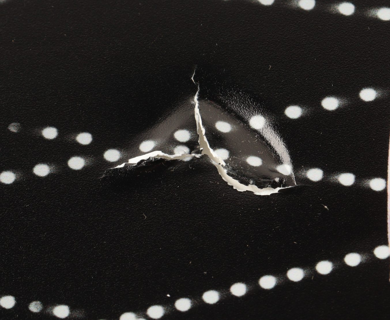 Stephanie Vaquer Signed WWE 16x20 Photo (Fanatics) at PristineAuction.com Stephanie Vaquer Signed WWE 16x20 Photo (Fanatics) at PristineAuction.com