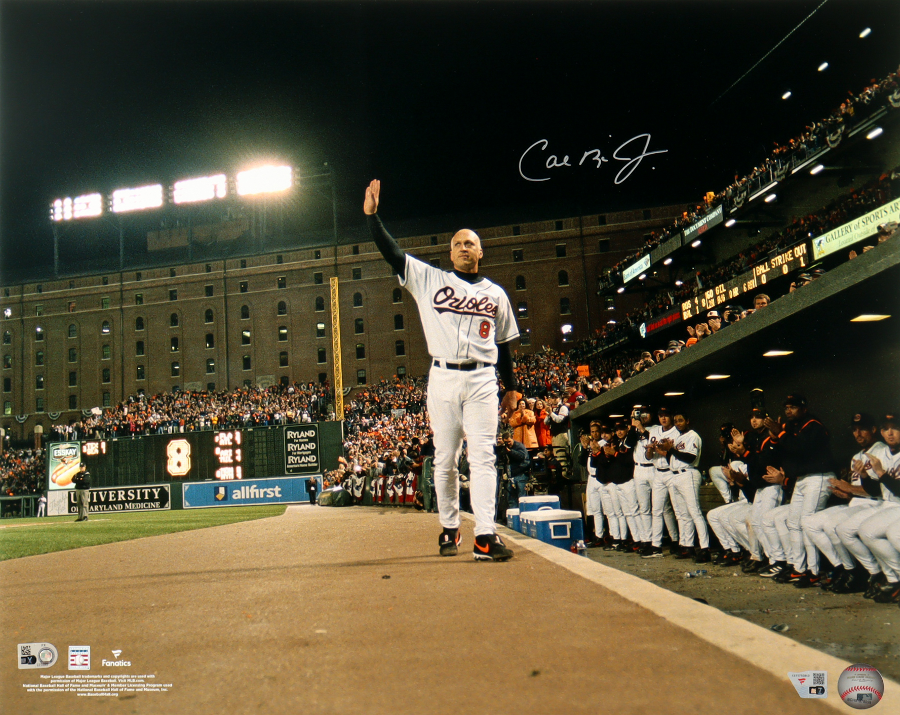 Cal Ripken Jr. Signed Orioles 16x20 Photo (MLB & Fanatics) at PristineAuction.com Cal Ripken Jr. Signed Orioles 16x20 Photo (MLB & Fanatics) at PristineAuction.com