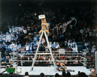 Tiffany Stratton Signed WWE 16x20 Photo (Fanatics) at PristineAuction.com