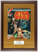 1977 "Star Wars" Issue #1 Custom Framed Marvel Comic Book Display with Title Plaque at PristineAuction.com