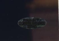 Mike Rotunda Signed WWE 16x20 Photo Inscribed "Pay Up!" & "I.R.S" (Playball Ink) at PristineAuction.com Mike Rotunda Signed WWE 16x20 Photo Inscribed "Pay Up!" & "I.R.S" (Playball Ink) at PristineAuction.com