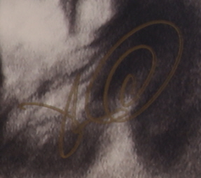 Kevin Parker Signed "Deadbeat" Vinyl Album Cover (PSA) at PristineAuction.com Kevin Parker Signed "Deadbeat" Vinyl Album Cover (PSA) at PristineAuction.com