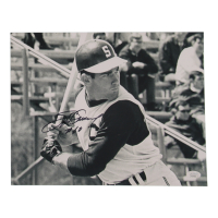 Steve Garvey Signed Padres 11x14 Photo (JSA) at PristineAuction.com