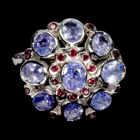 5.25 Carats Natural Tanzanite & Purple Garnet Ring | $2,500 Estimated Retail Value (UGL Cert) at PristineAuction.com
