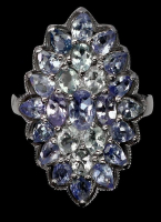 3.40 Carats Natural Tanzanite & Green Amethyst Ring | $1,700 Estimated Retail Value (UGL Cert) at PristineAuction.com