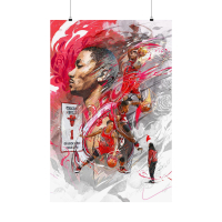 Derrick Rose Bulls 24x36 Poster at PristineAuction.com
