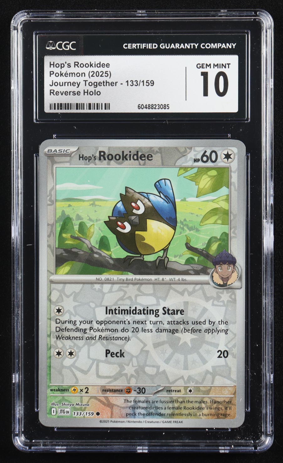 Hop's Rookidee 2025 Pokemon Journey Together #133 (CGC 10) at PristineAuction.com Hop's Rookidee 2025 Pokemon Journey Together #133 (CGC 10) at PristineAuction.com