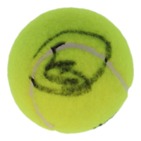 Novak Djokovic Signed Tennis Ball (ACOA) at PristineAuction.com