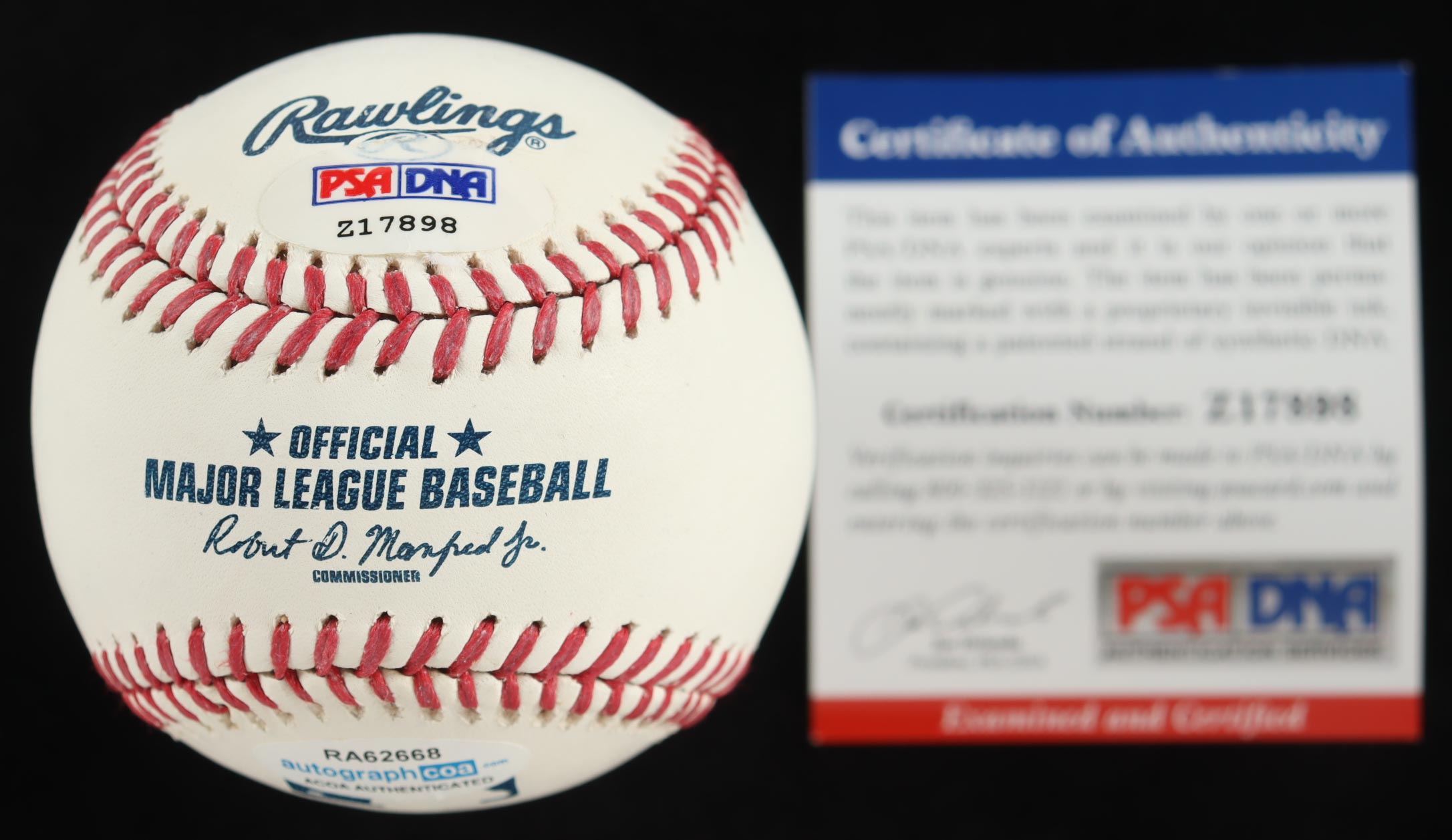 Jimmy Carter Signed Custom Framed Baseball Shadowbox Display (PSA & AutographCOA) at PristineAuction.com Jimmy Carter Signed Custom Framed Baseball Shadowbox Display (PSA & AutographCOA) at PristineAuction.com