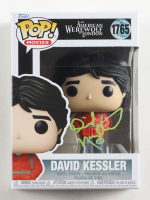 David Naughton Signed "An American Werewolf In London" #1765 David Kessler Funko Pop! Vinyl Figure (JSA) at PristineAuction.com