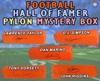 Football HALL OF FAMER Signed Endzone Pylon Mystery Box - Series 18 (Limited to 100) &ndash; Schwartz Sports at PristineAuction.com