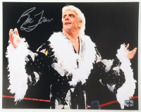Ric Flair Signed WWE 11x14 Photo (Flair) at PristineAuction.com