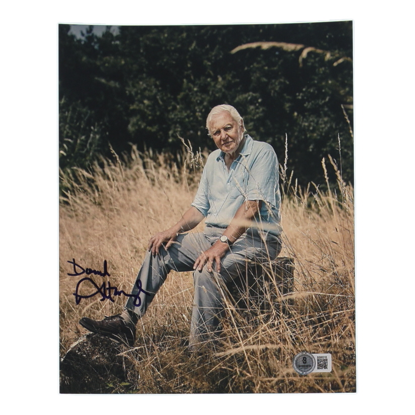David Attenborough Signed 8x10 Photo (Beckett) at PristineAuction.com David Attenborough Signed 8x10 Photo (Beckett) at PristineAuction.com