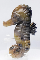 96.92 Carats Natural Multi-Colored Sapphire Seahorse Carving at PristineAuction.com