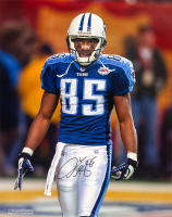 Derrick Mason Signed Titans 16x20 Photo (Schwartz) at PristineAuction.com