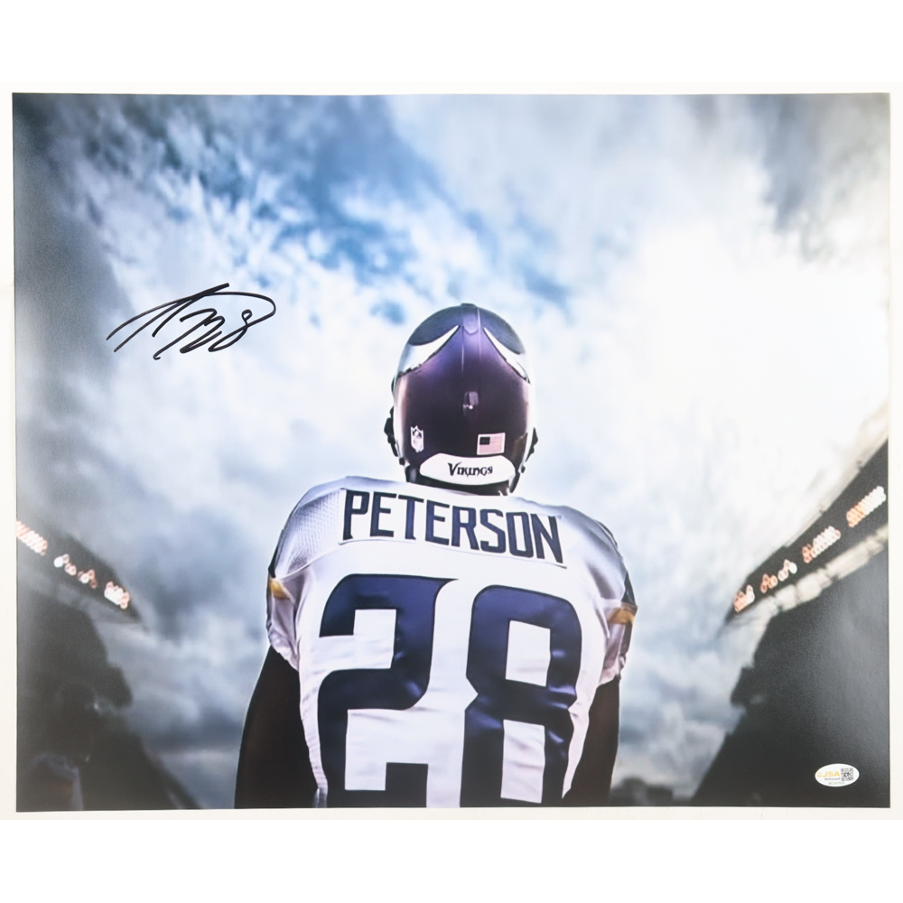 Adrian Peterson Signed Vikings 16x20 Photo (JSA) at PristineAuction.com