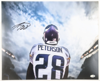 Adrian Peterson Signed Vikings 16x20 Photo (JSA) at PristineAuction.com