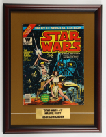 1977 "Star Wars" Issue #1 Custom Framed Marvel Comic Book Display at PristineAuction.com