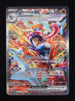 Greninja ex 2024 Pokemon Twilight Masquerade #214 Holo at PristineAuction.com