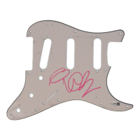 Vanilla Ice Signed Electric Guitar Pickguard (JSA) at PristineAuction.com