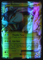 Raikou EX 2012 Pokemon Dark Explorers Holo #38 at PristineAuction.com