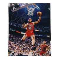 Dennis Rodman Signed Bulls 16x20 Photo (JSA) at PristineAuction.com