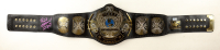 Bret "Hitman" Hart Signed WWE World Heavyweight Championship Belt (Beckett) at PristineAuction.com