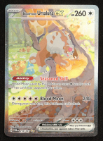 Bloodmoon Ursaluna ex 2024 Pokemon TCG Scarlet & Violet Twilight Masquerade #216 at PristineAuction.com