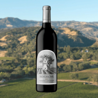 2021 Alexander Valley Cabernet Sauvignon 1.5L Magnum at PristineAuction.com
