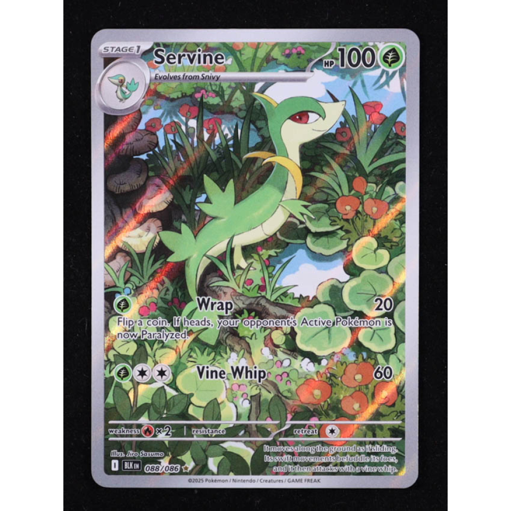 Servine 2025 Pokemon Black Bolt #88 Holo at PristineAuction.com