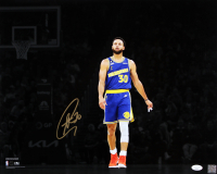 Stephen Curry Signed Warriors 16x20 Photo (JSA) at PristineAuction.com