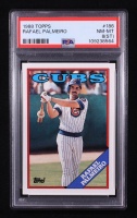 Rafael Palmeiro 1988 Topps #186 (PSA 8) (ST) at PristineAuction.com