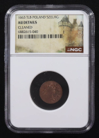 Jan of Casimir 1663-TLB Poland Szelag Solidus Copper Coin (NGC AU Details) at PristineAuction.com