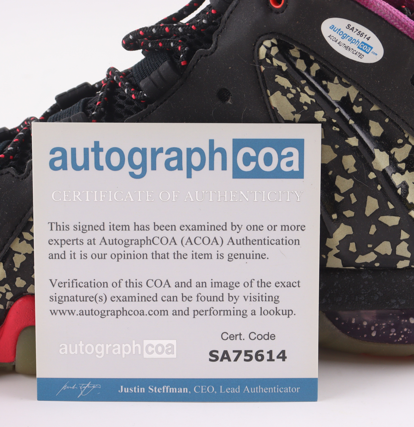 Charles Barkley Signed Nike Basketball Shoes (ACOA) at PristineAuction.com Charles Barkley Signed Nike Basketball Shoes (ACOA) at PristineAuction.com