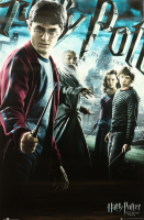 Daniel Radcliffe Signed "Harry Potter and the Half-Blood Prince" 24x36 Movie Poster (ACOA) at PristineAuction.com