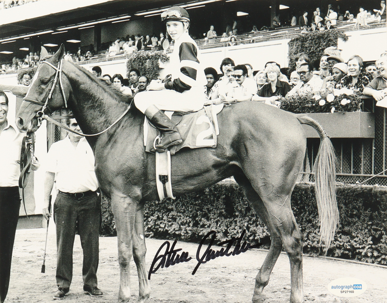 Steve Cauthen Signed 8x10 Photo (ACOA) at PristineAuction.com Steve Cauthen Signed 8x10 Photo (ACOA) at PristineAuction.com
